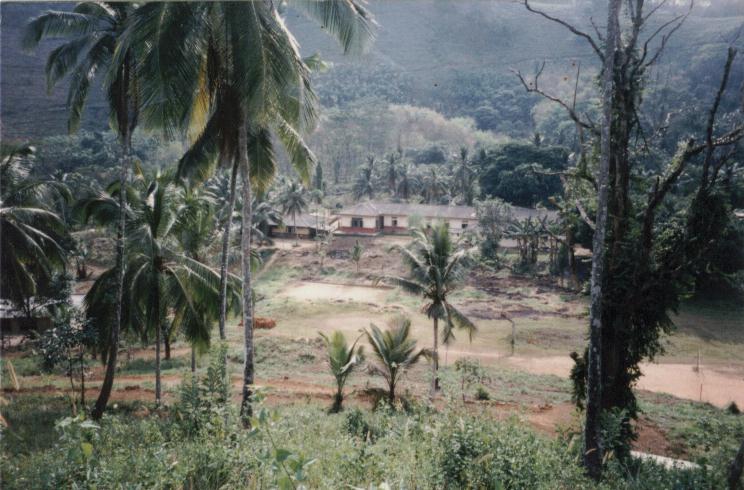 View From Hill
