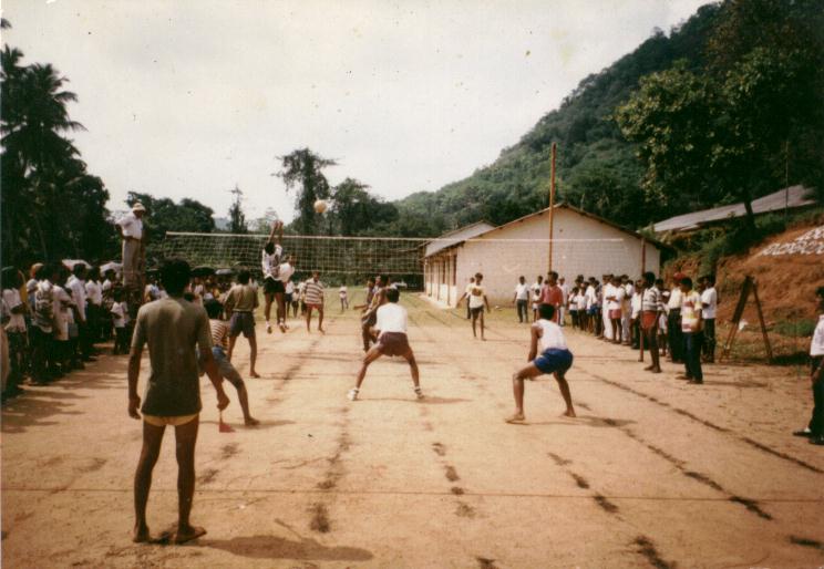 Volleyball